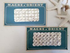 画像1: フランスヴィンテージ　貝ボタンシート NACRE D'ORIENT 8-9mm (1)