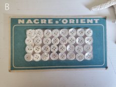 画像6: フランスヴィンテージ　貝ボタンシート NACRE D'ORIENT 8-9mm (6)